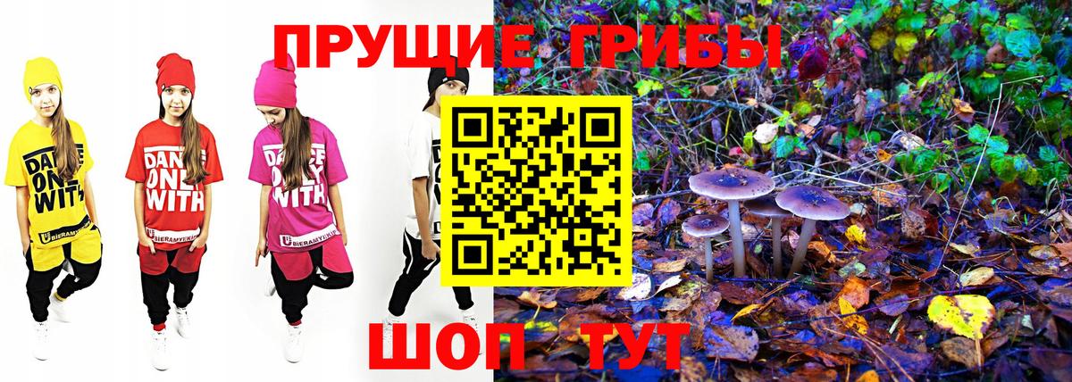 Алатырь  Галлюциногенные грибы Cubensis  Вход с VPN 