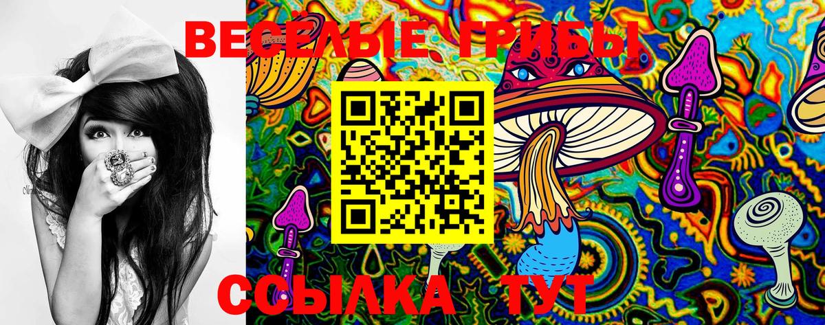 Псилоцибиновые грибы ЛСД Алатырь